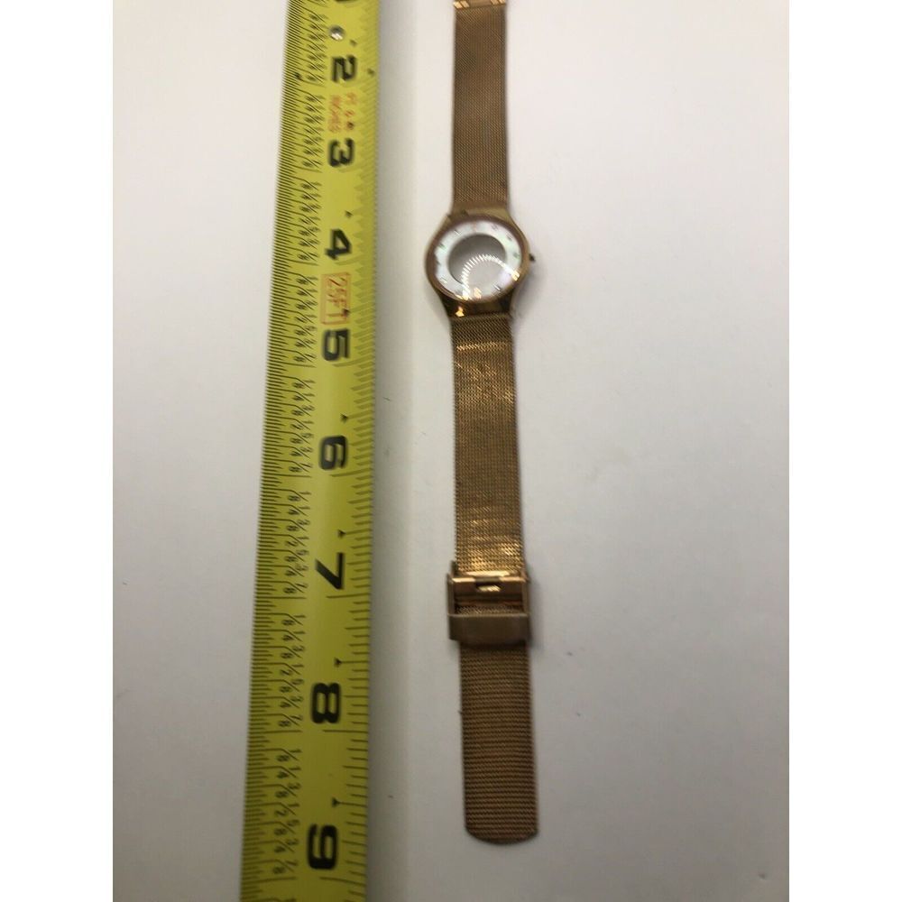 Skagen Watch Parts Band 14mm Band& Case 24mm Crystal Rose Gold Links PY264